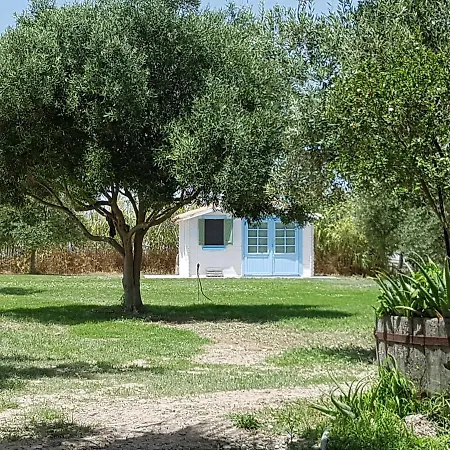 Azienda Agricola Terredisarina