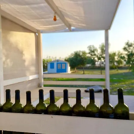 Azienda Agricola Terredisarina *